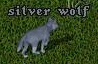 A silver wolf